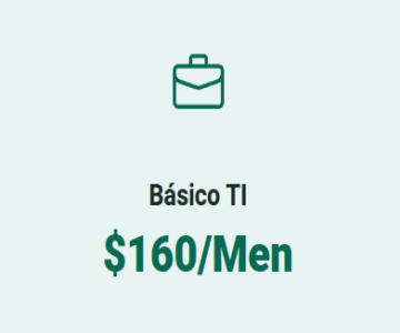 plan basico TI Plan Soporte Básico TI