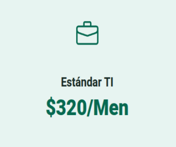 plan standar TI Plan Soporte Estándar TI