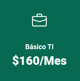 plansoporte2 Plan Soporte Básico TI