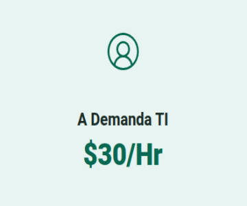 Plan a demanda TI Plan Soporte a Demanda TI