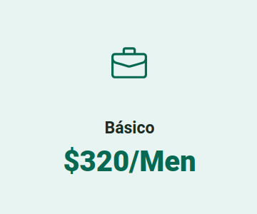 Plan Basico