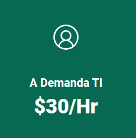 plansoporte1 Plan Soporte a Demanda TI