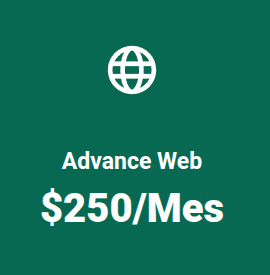 planweb3 Plan Mantenimiento Advance Web